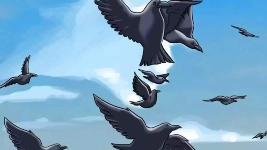 Can You Spot the Hidden Human Face in This Optical Illusion?