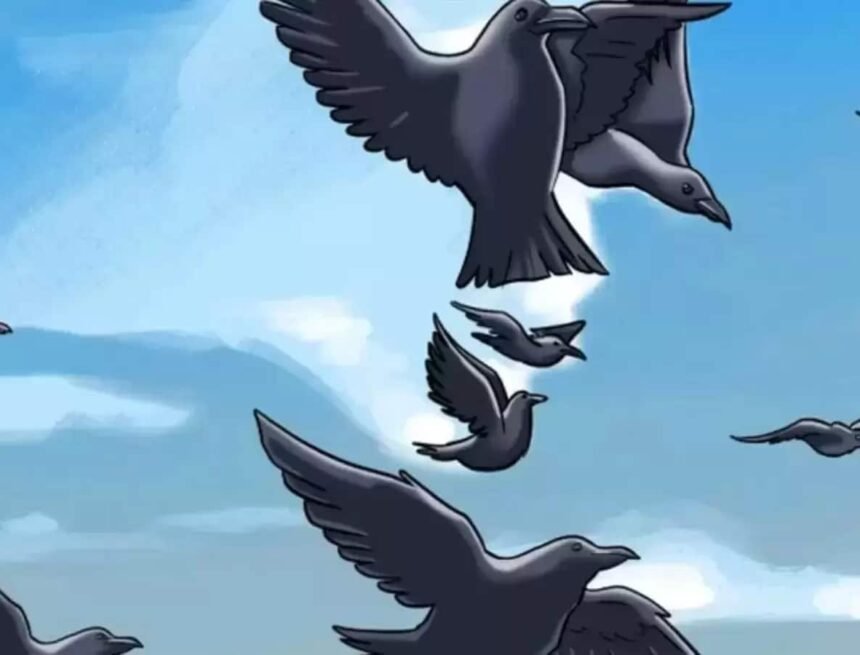 Can You Spot the Hidden Human Face in This Optical Illusion?