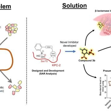 IIT Roorkee Develops Drug Candidate to Combat Antibiotic Resistance