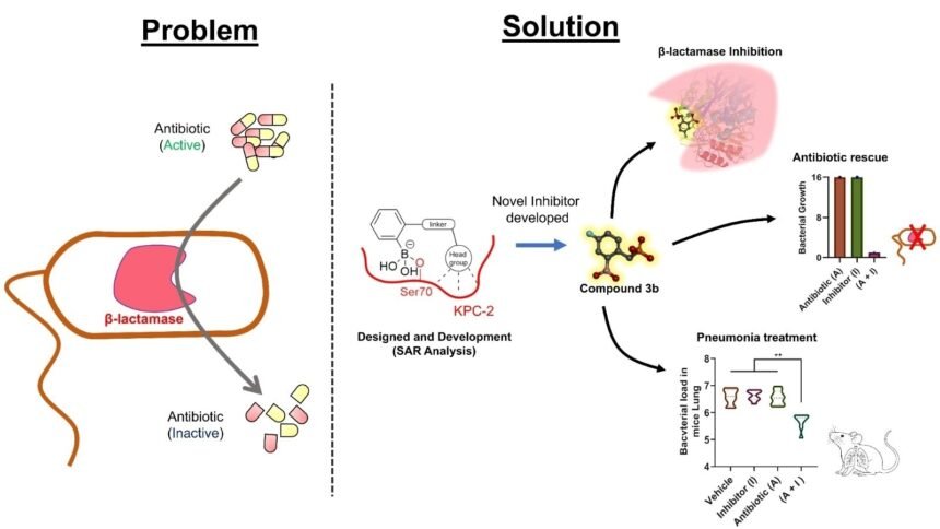 IIT Roorkee Develops Drug Candidate to Combat Antibiotic Resistance