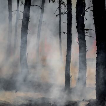 Rapid Spread of 'Arden Fire' in Lucerne Prompts Evacuations