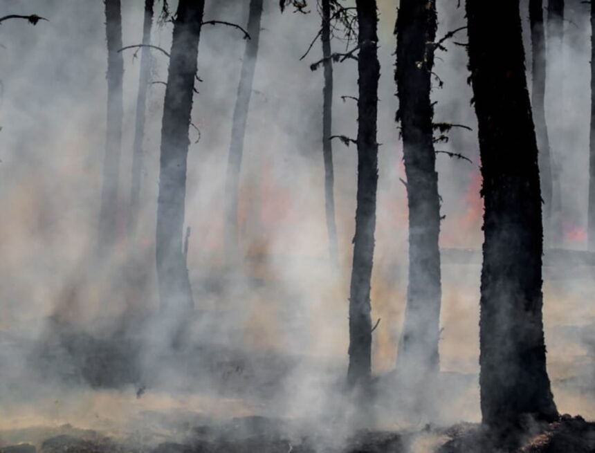 Rapid Spread of 'Arden Fire' in Lucerne Prompts Evacuations